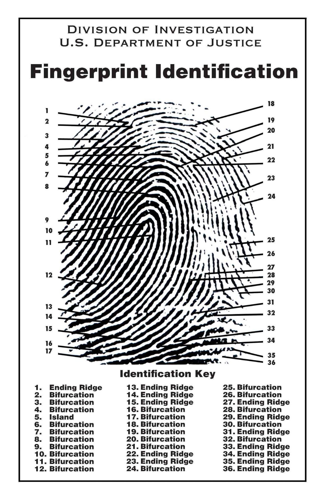 Fingerprinting with Ink ForensiKit by Crime Scene