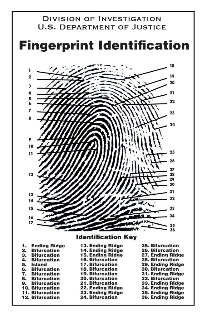 Fingerprint Identification poster available at shop.crimescene.com