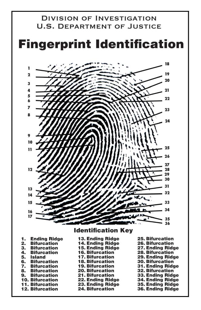 Ink Fingerprinting – Identity Prints Plus